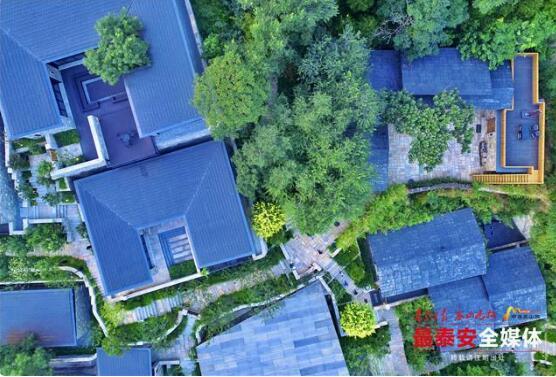 聚鑫汇娱乐官方网站图片