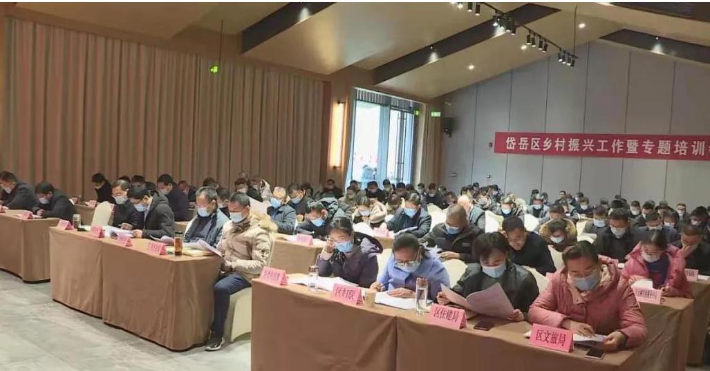 聚鑫汇娱乐官方网站图片