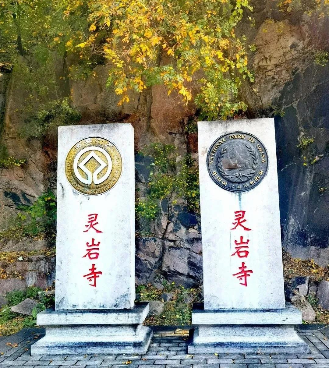 聚鑫汇娱乐官方网站图片