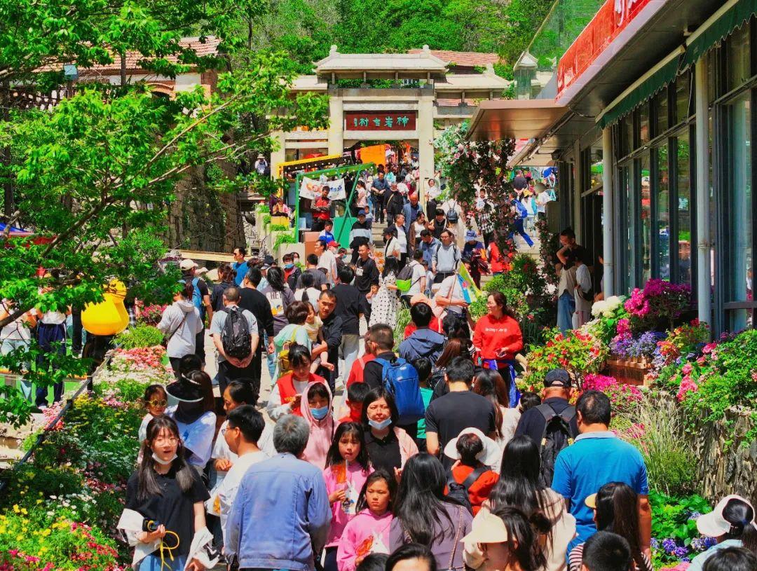 聚鑫汇娱乐官方网站图片
