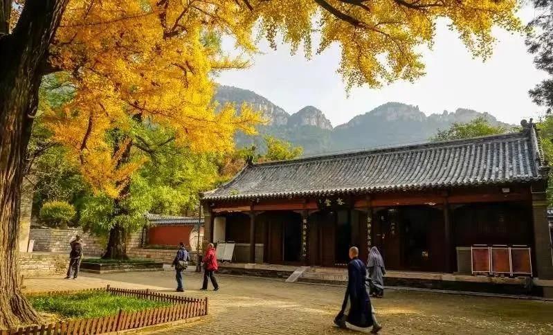 聚鑫汇娱乐官方网站图片